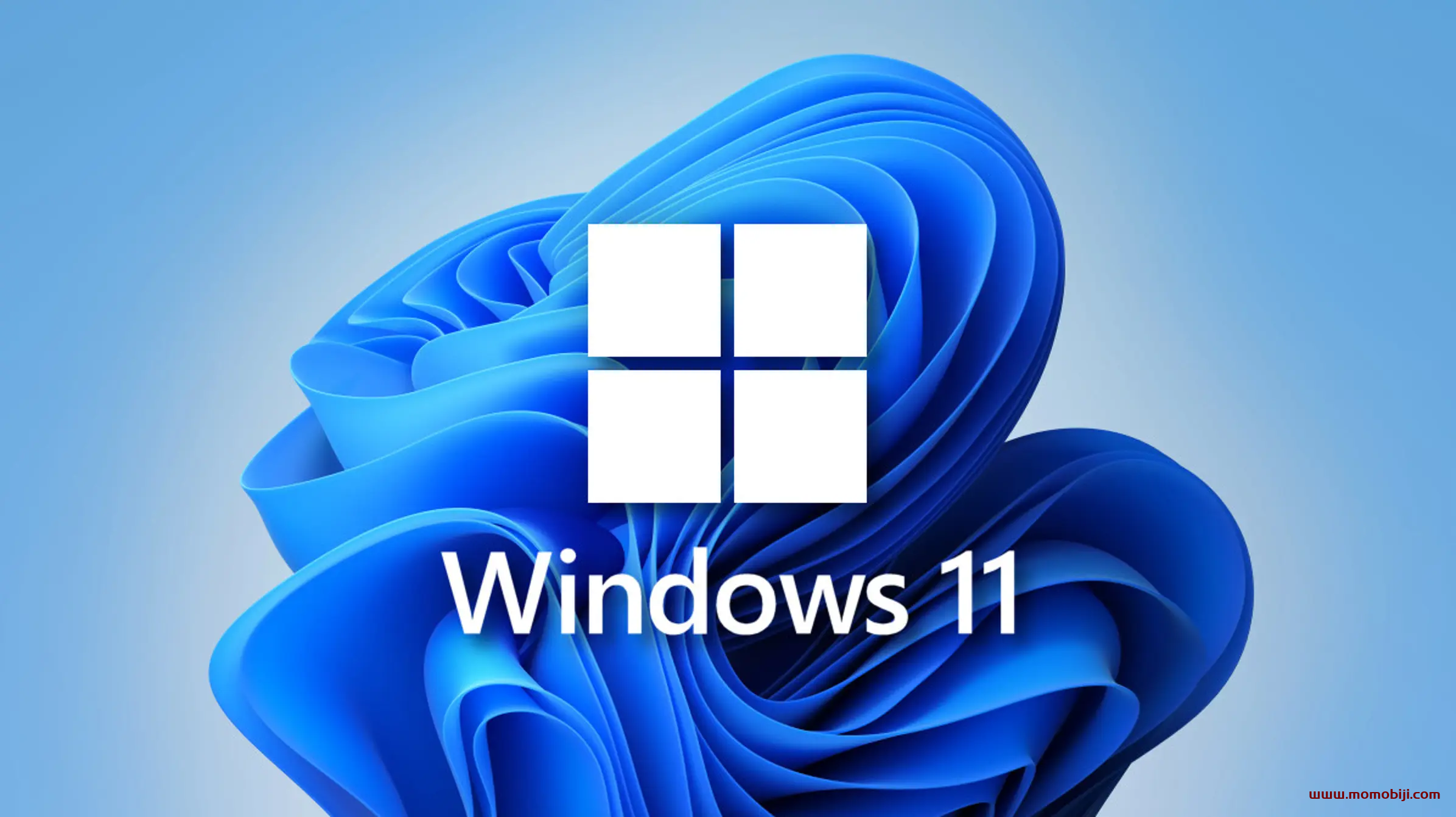 Windows 11 专业正式版激活密钥 Windows 11 神 key 分享