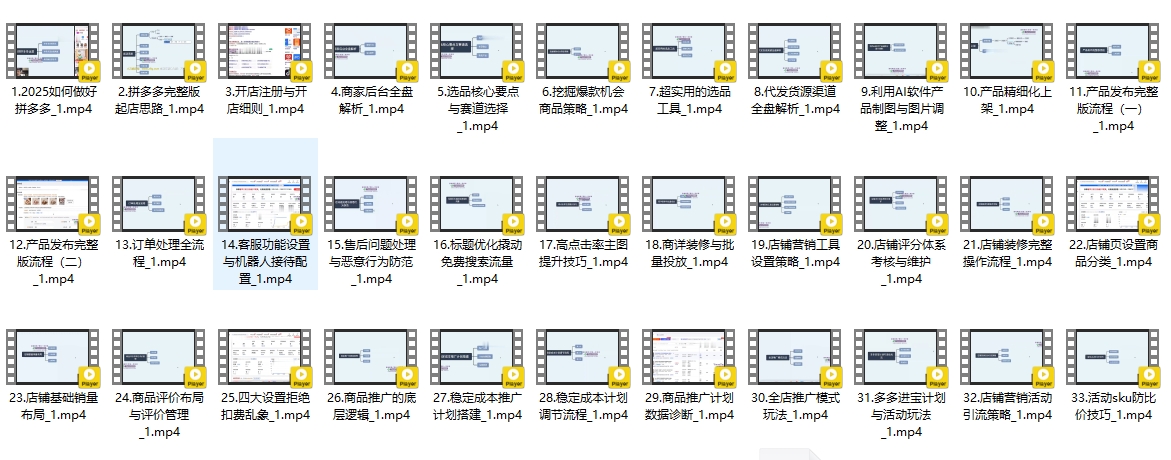 2025拼多多运营实战课程40节，价值1999的网赚类课程！02