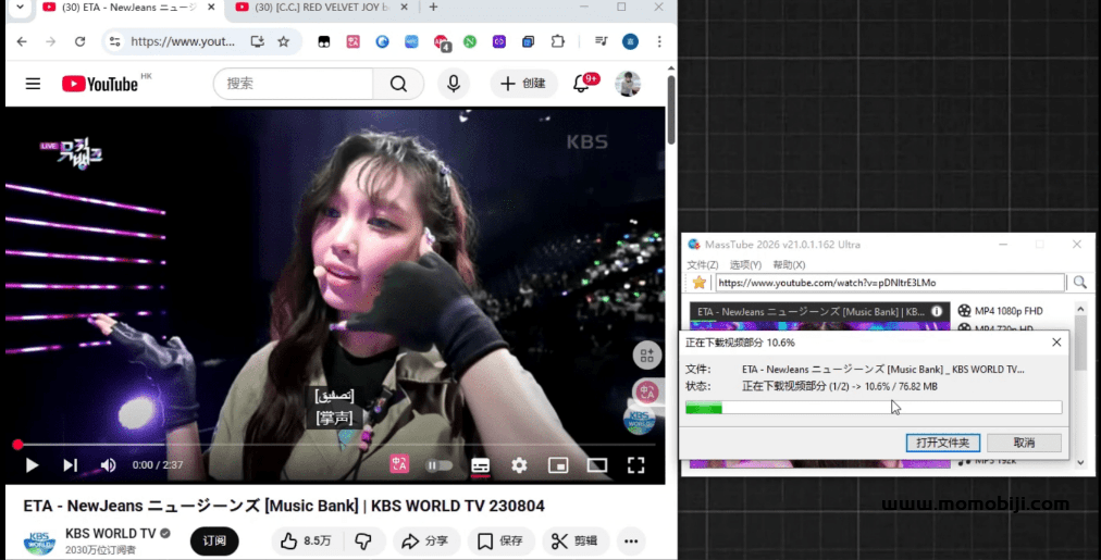 YouTube免费下载器：Windows版，支持4K画质与音频自动解析下载02