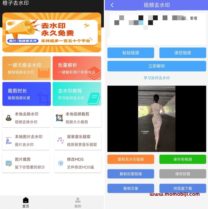橙子去水印：支持150+平台的免费神器，一键本地/在线批量去除视频图片水印